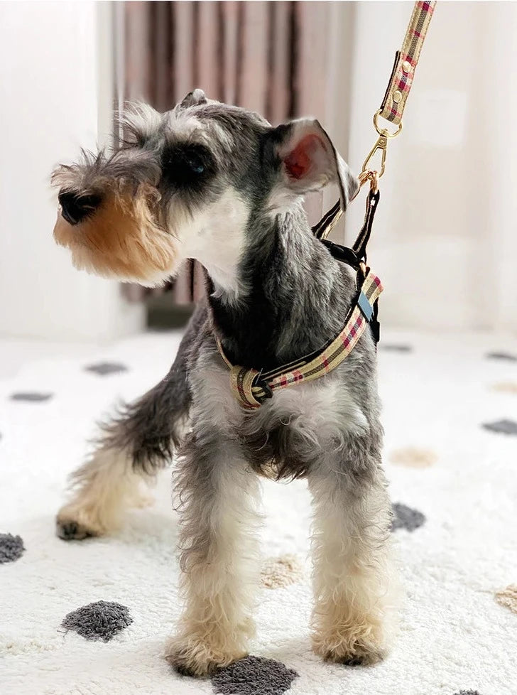 Plaid Schnauzer Dog Harness and Leash Set