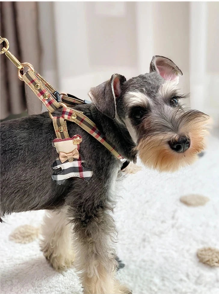 Plaid Schnauzer Dog Harness and Leash Set
