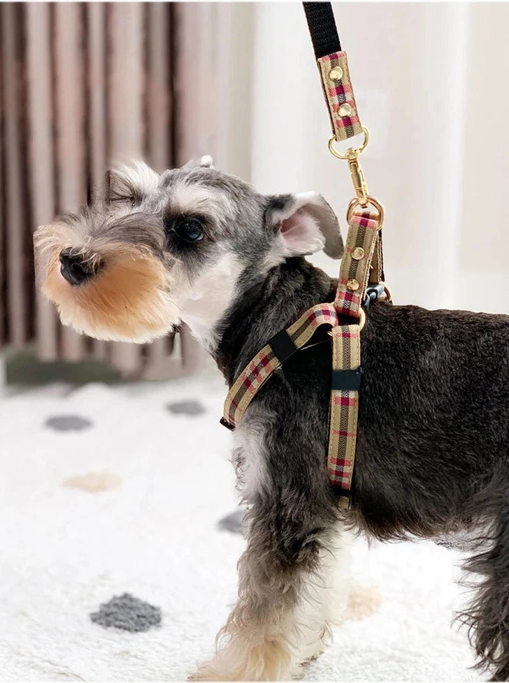 Plaid Schnauzer Dog Harness and Leash Set
