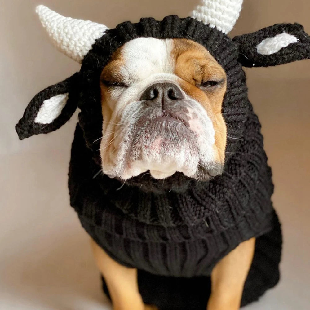 English Bulldog Hat