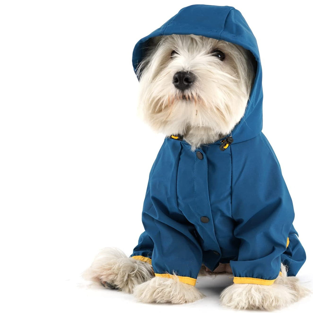 Westie Raincoat with Hoodie Ploocy