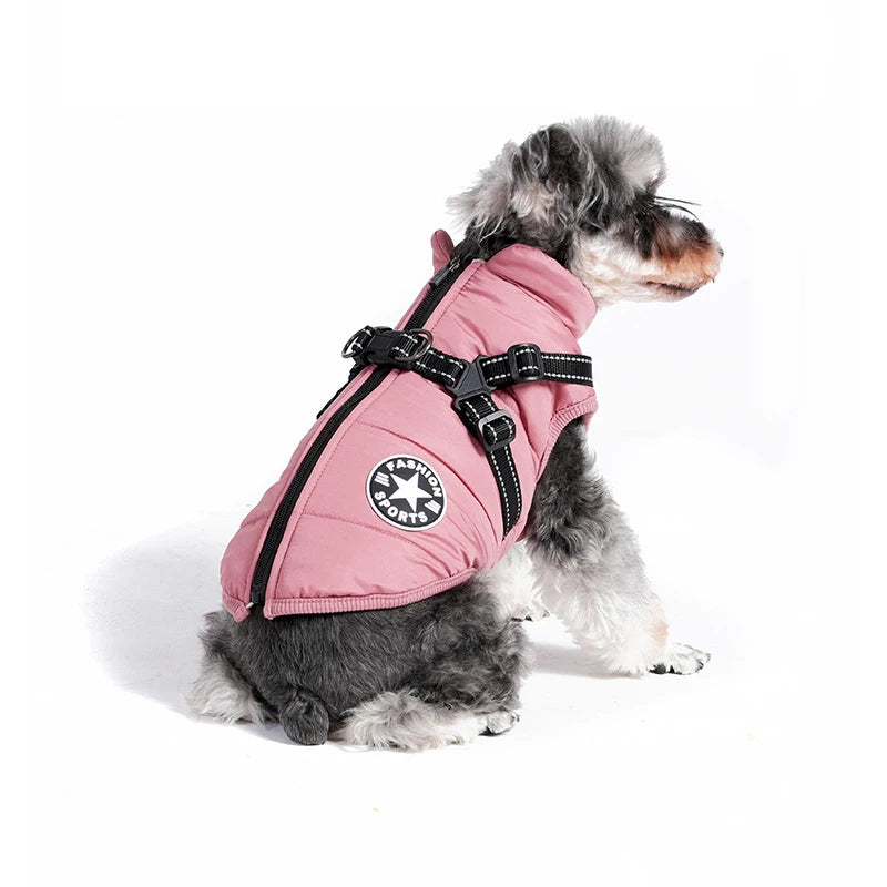 Schnauzer Harness & Jacket