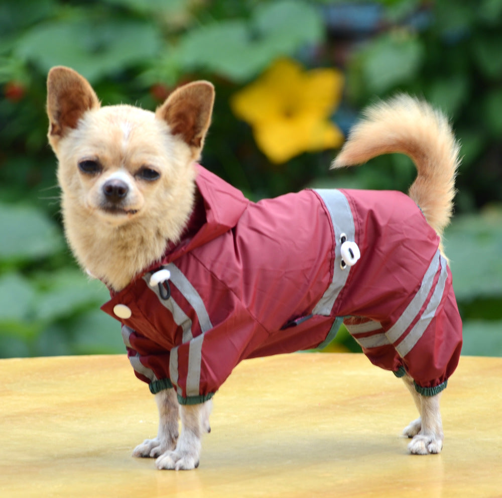 Chihuahua Dog Raincoat