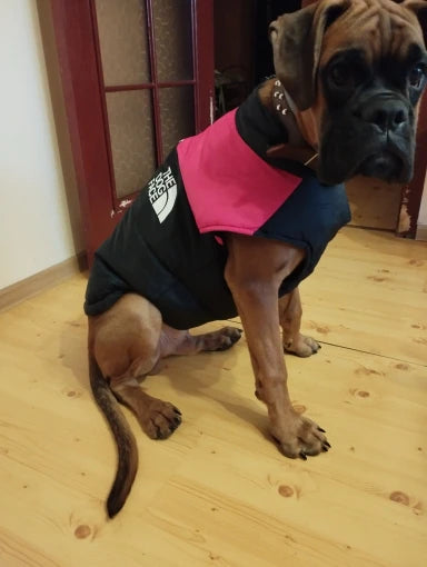 The Dog Face Boxer Dog Jacket
