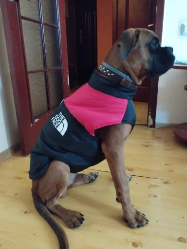 The Dog Face Boxer Dog Jacket
