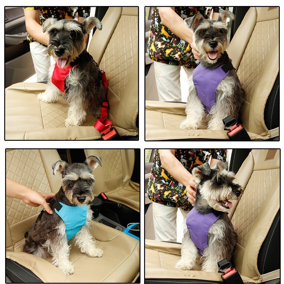 Dog Safety Harness