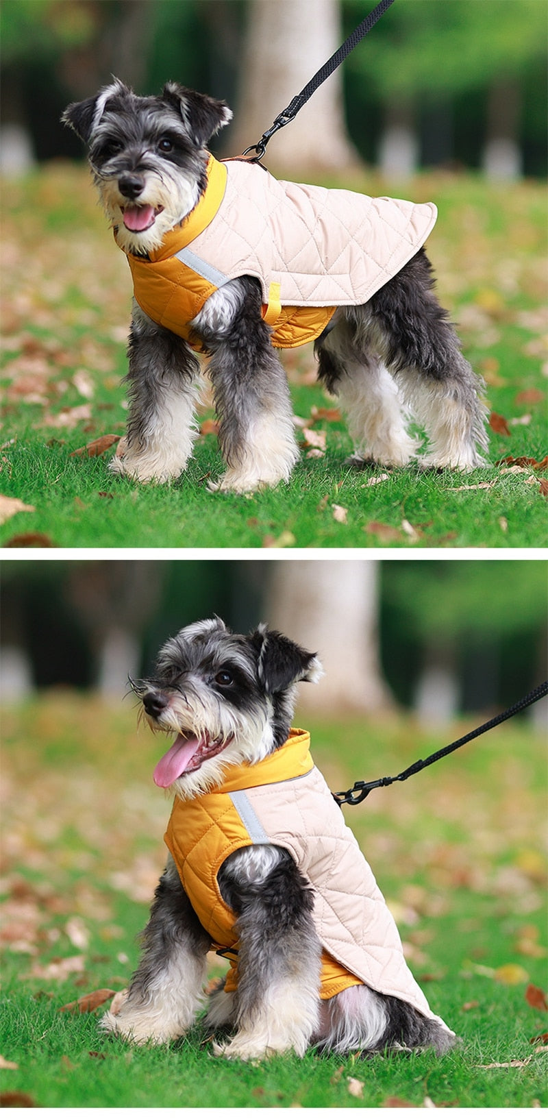 Premium Winter Schnauzer Jacket
