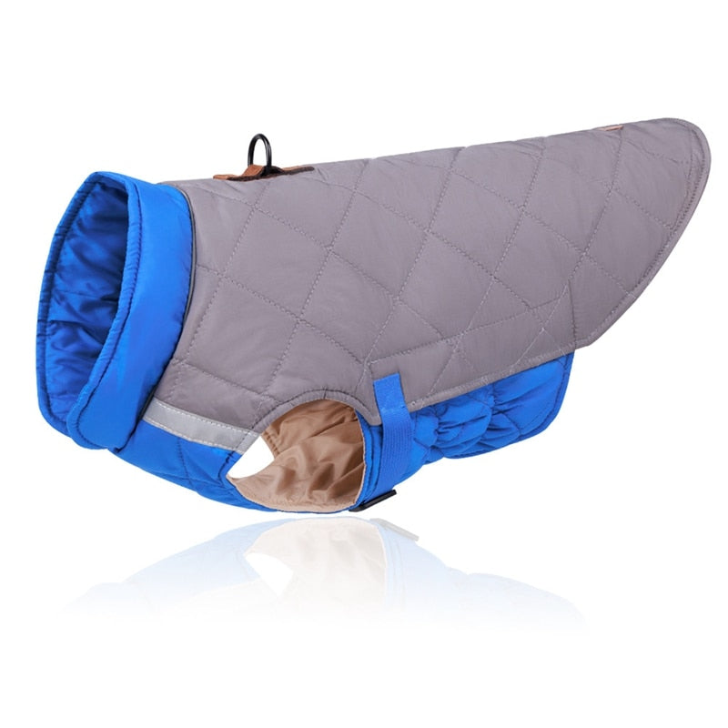 Premium Winter Schnauzer Jacket