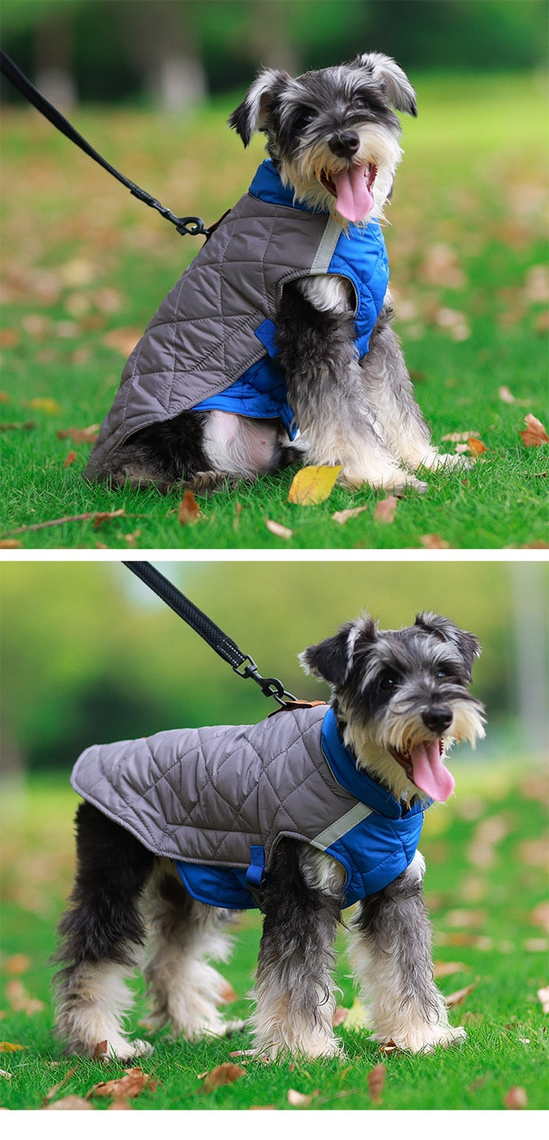 Premium Winter Schnauzer Jacket