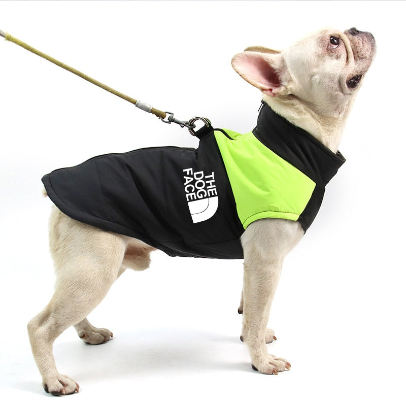 The Dog Face Boxer Dog Jacket