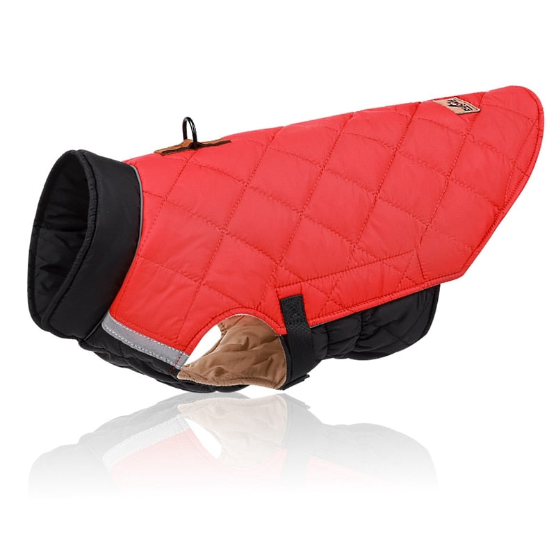 Premium Winter Schnauzer Jacket