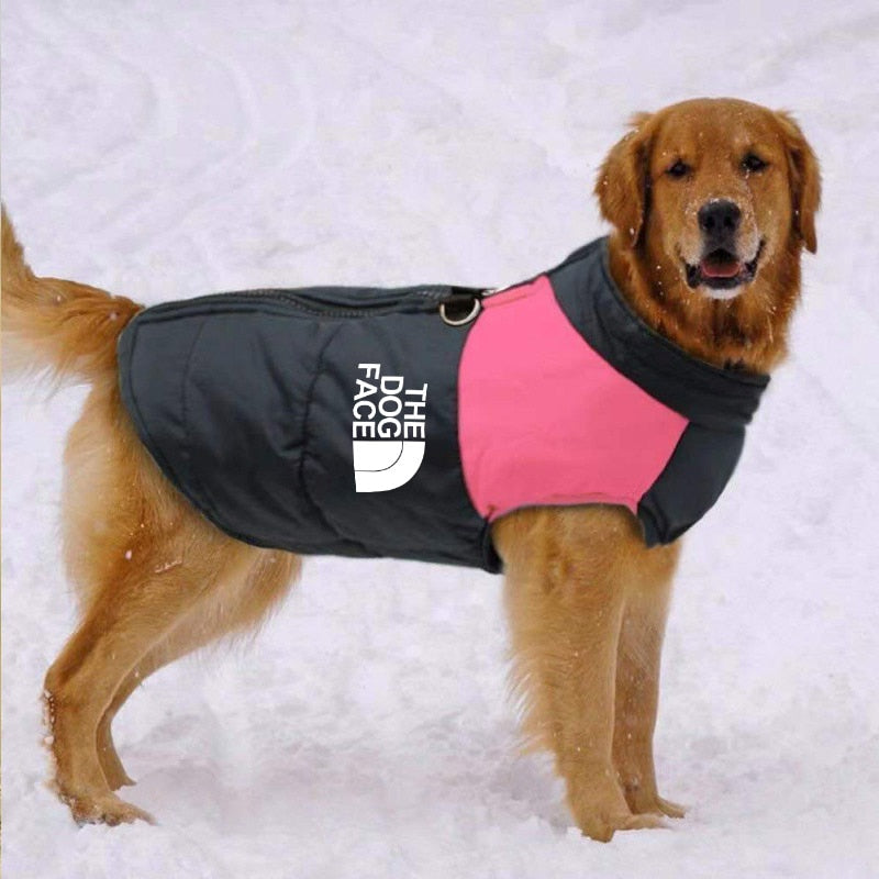 The Dog Face Boxer Dog Jacket