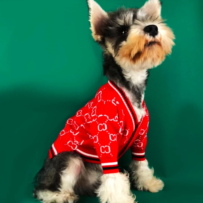 Pucci Monogram Schnauzer Sweater