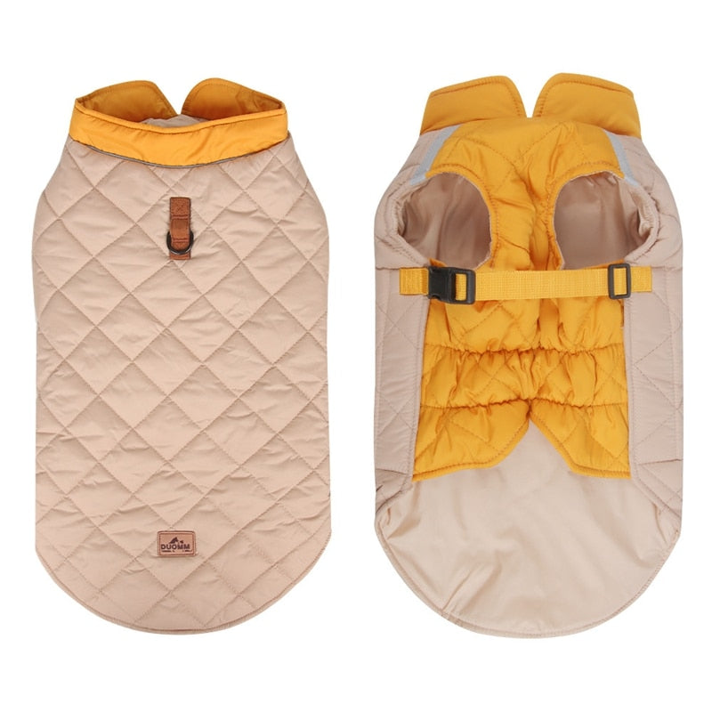 Premium Winter Schnauzer Jacket