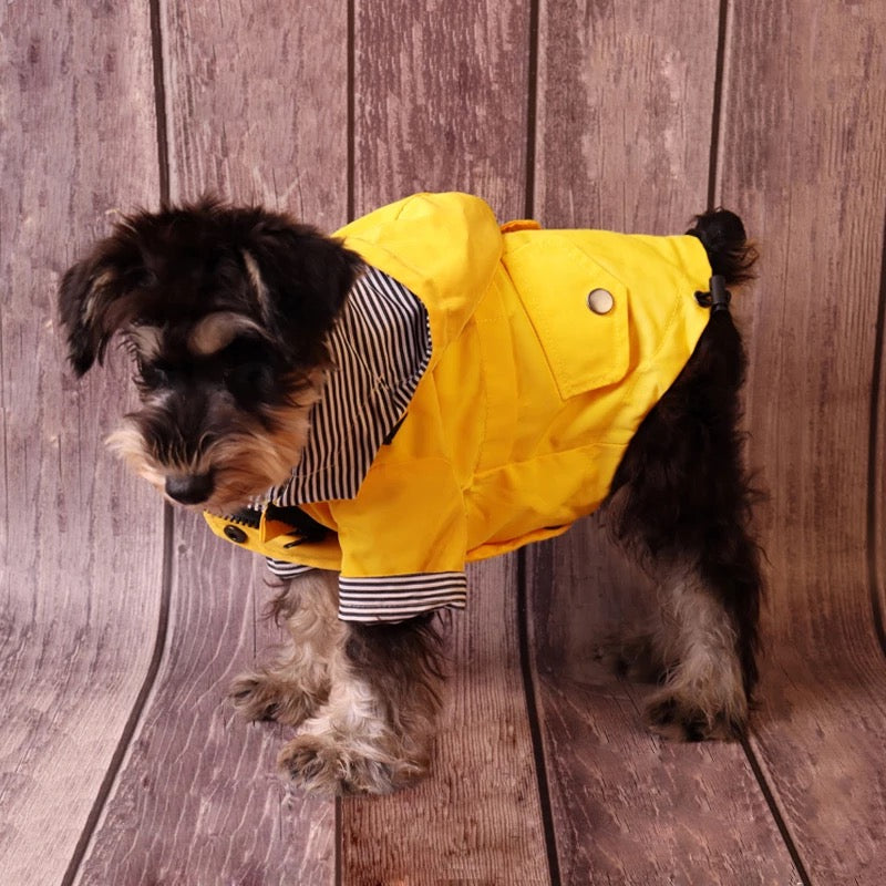 Sporty Dog Raincoat