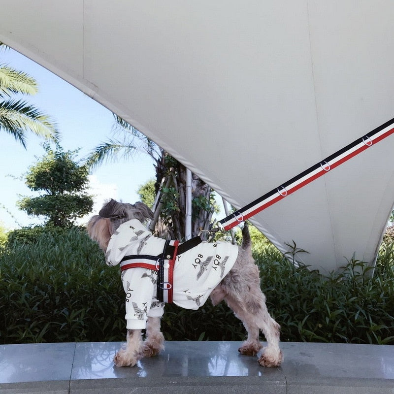 Sport Dog Collar, Harness And Leash