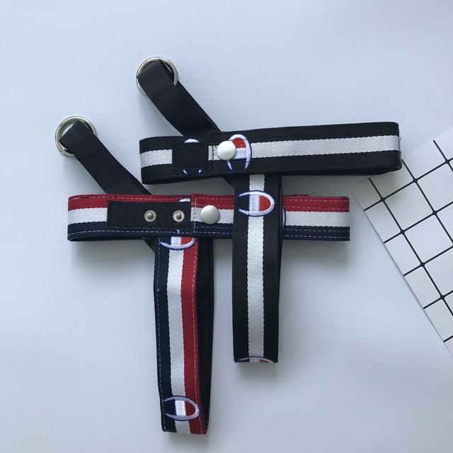 Sport Dog Collar, Harness And Leash