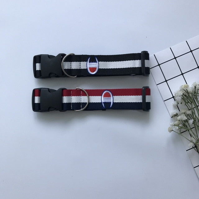 Sport Dog Collar, Harness And Leash