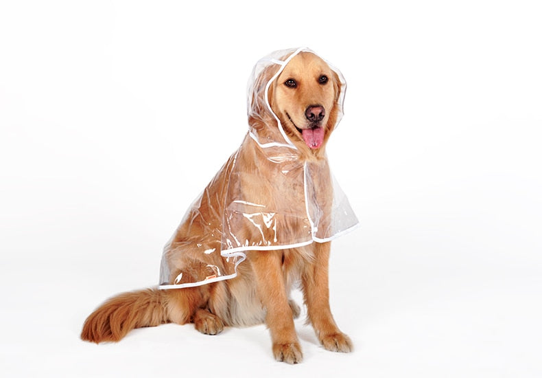 Dog Raincoat