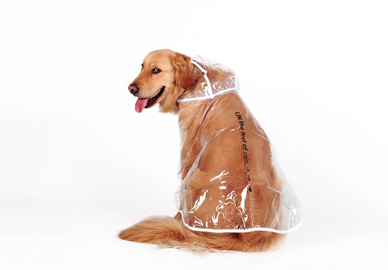 Dog Raincoat