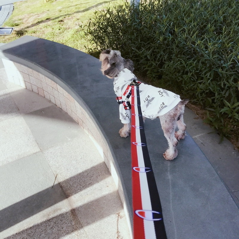 Sport Dog Collar, Harness And Leash