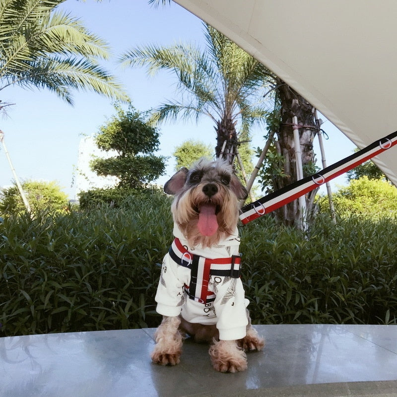 Sport Dog Collar, Harness And Leash