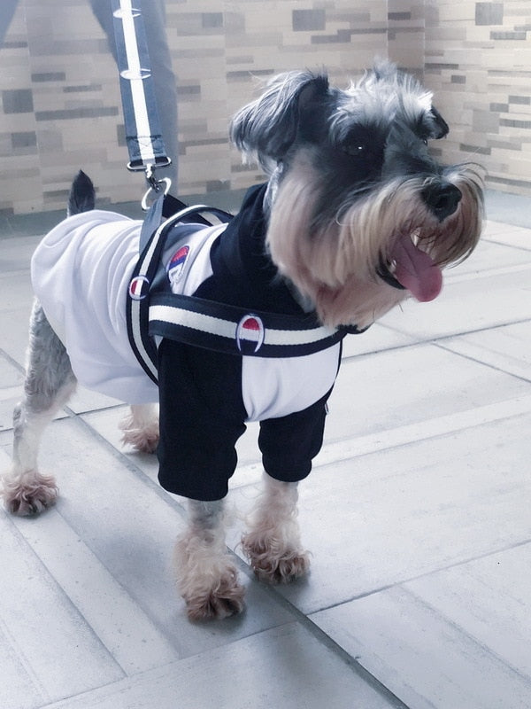 Sport Dog Collar, Harness And Leash