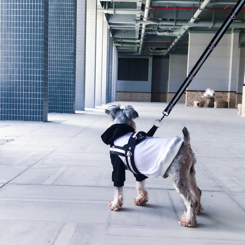 Sport Dog Collar, Harness And Leash