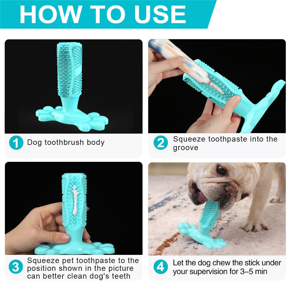 Chewy dog toothbrush toy