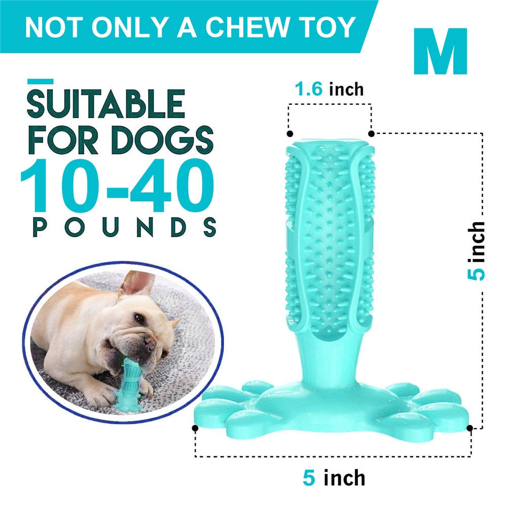 Chewy dog toothbrush toy