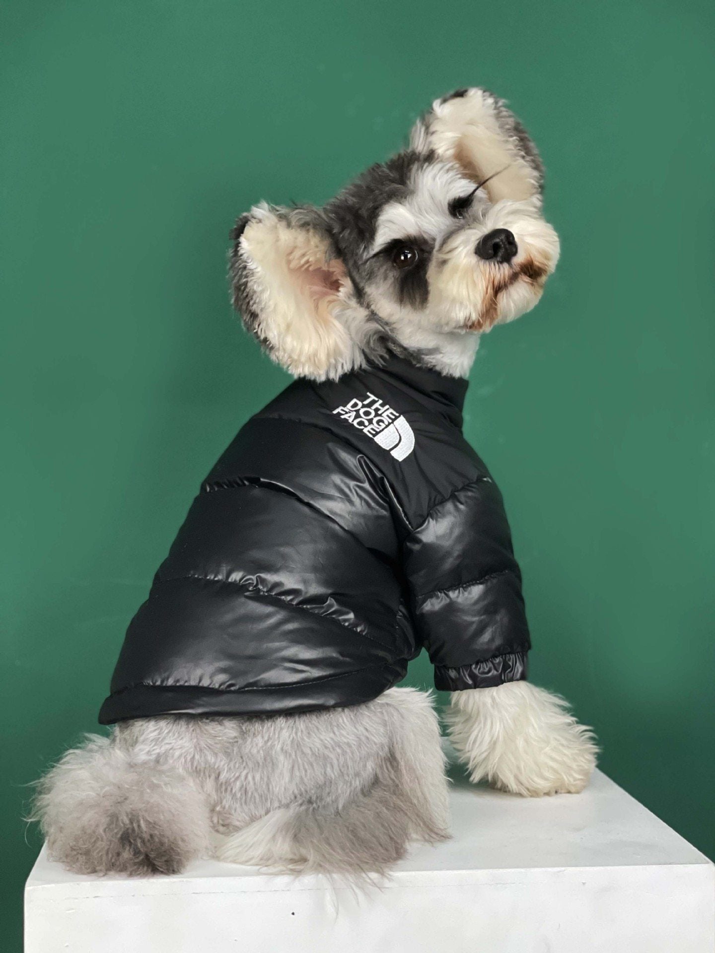 The Dog Face Jacket