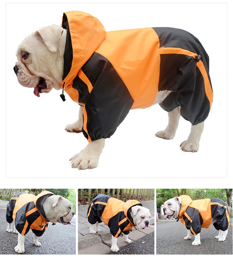 English Bulldog Raincoat