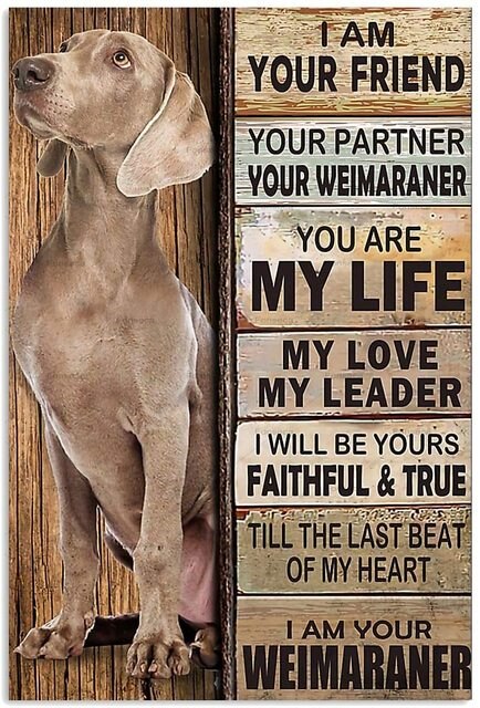 Metal Vintage Dog Wall Art
