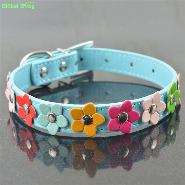 Snuggles Floral Collar