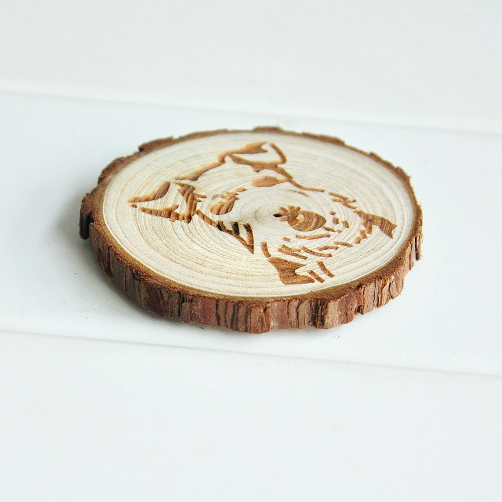 Schnauzer Magnets - 3pcs Set