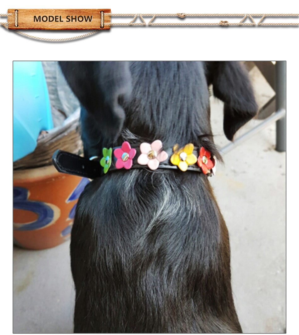 Snuggles Floral Collar