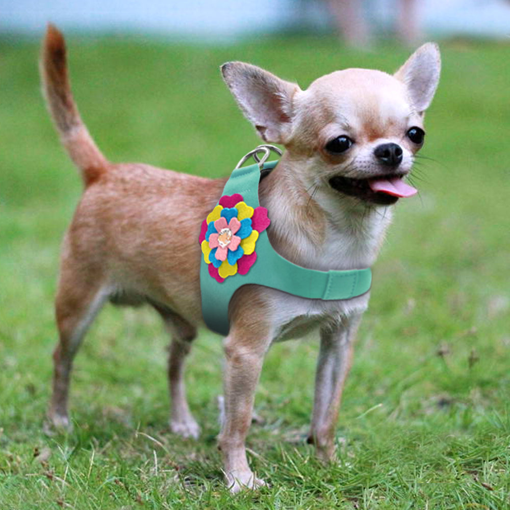 Flower Dog Harness