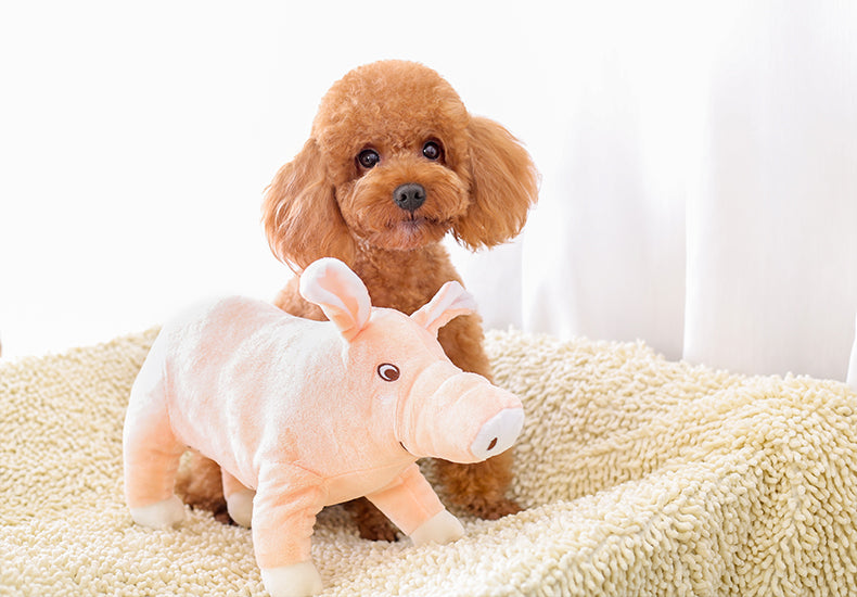 Wild-Pet Plush Pillow
