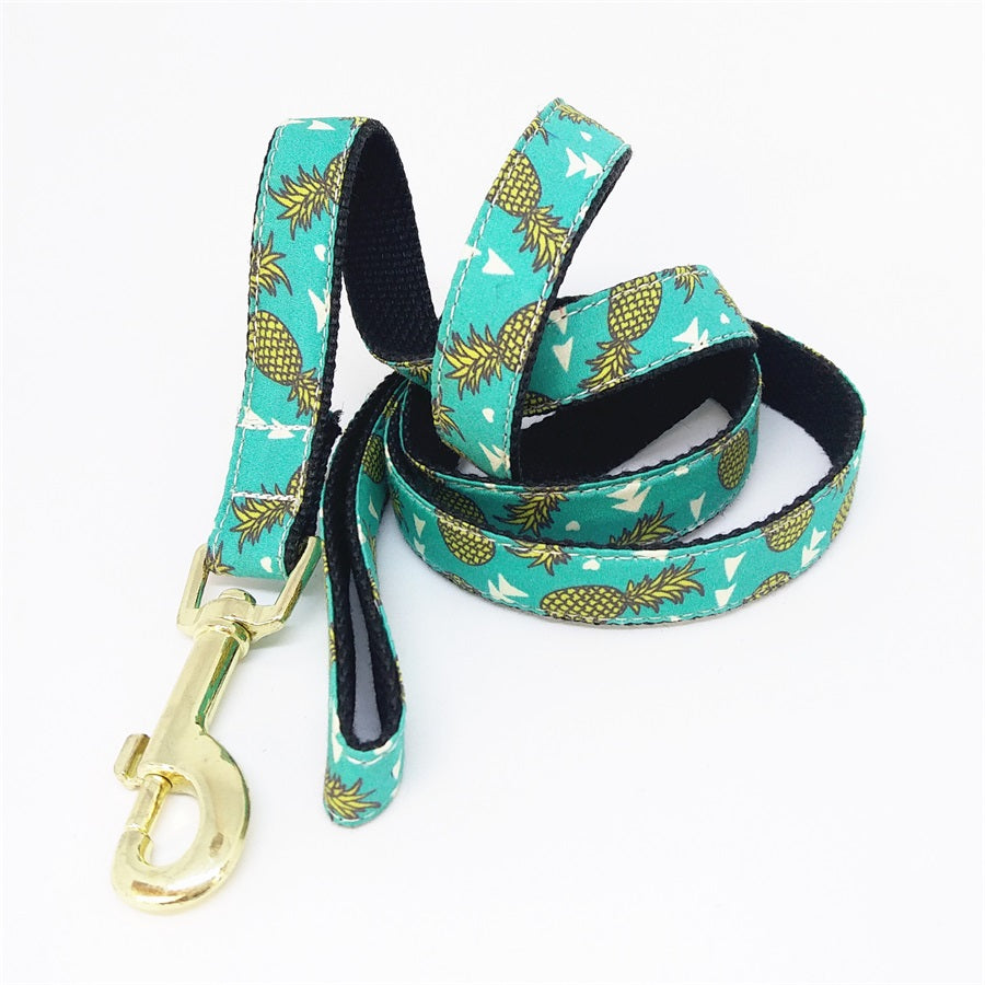 Pineapple Collar and Leash