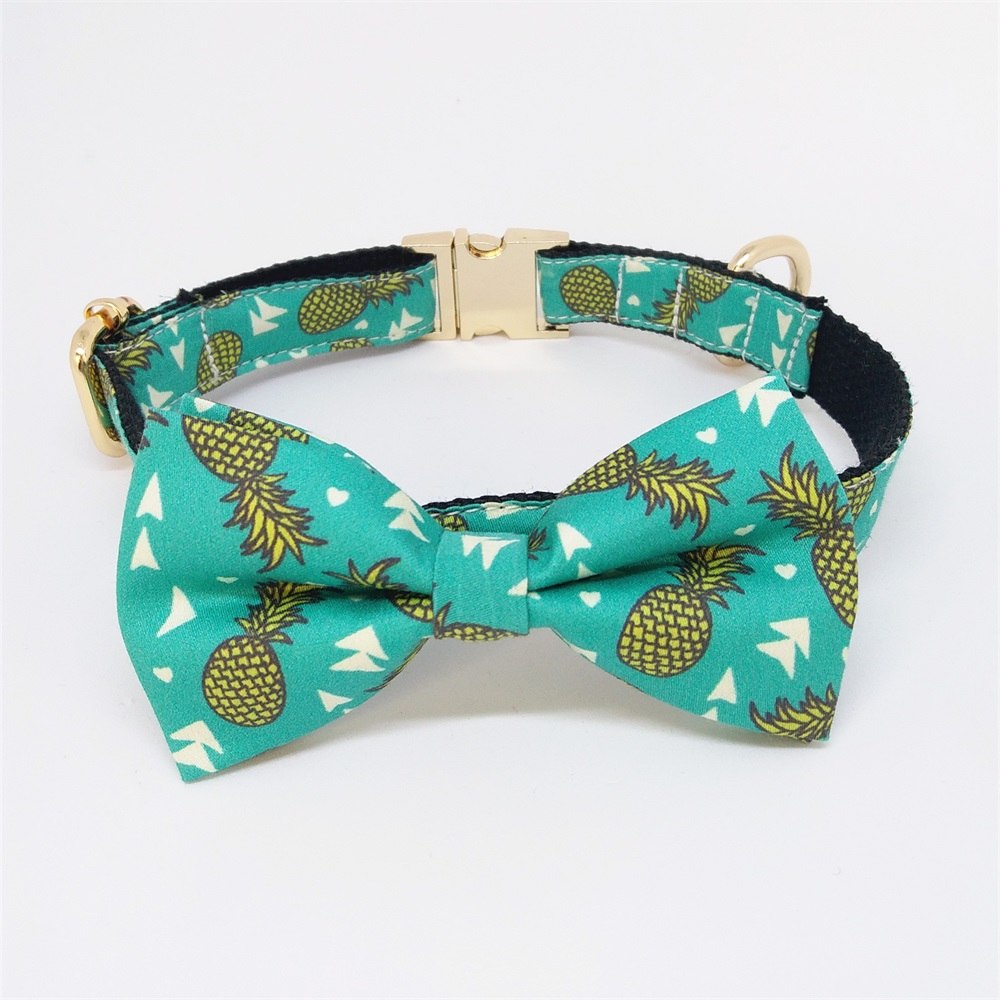 Pineapple Collar and Leash