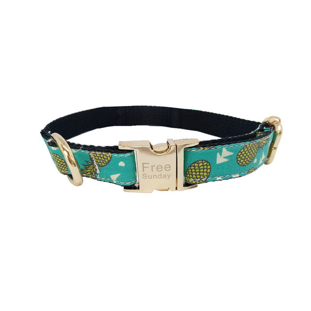 Pineapple Collar and Leash