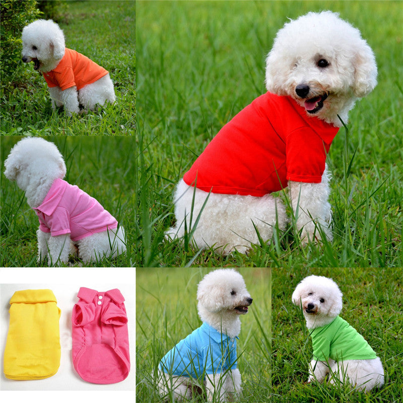 Spring Spirit T-Shirt