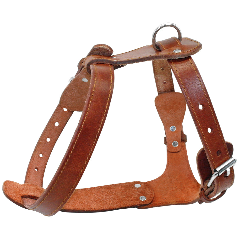 Royal Genuine Leather Dog Harness