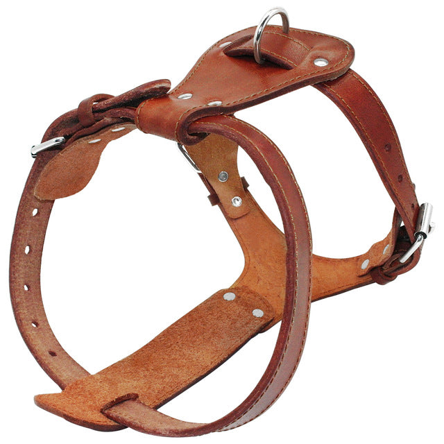 Royal Genuine Leather Dog Harness