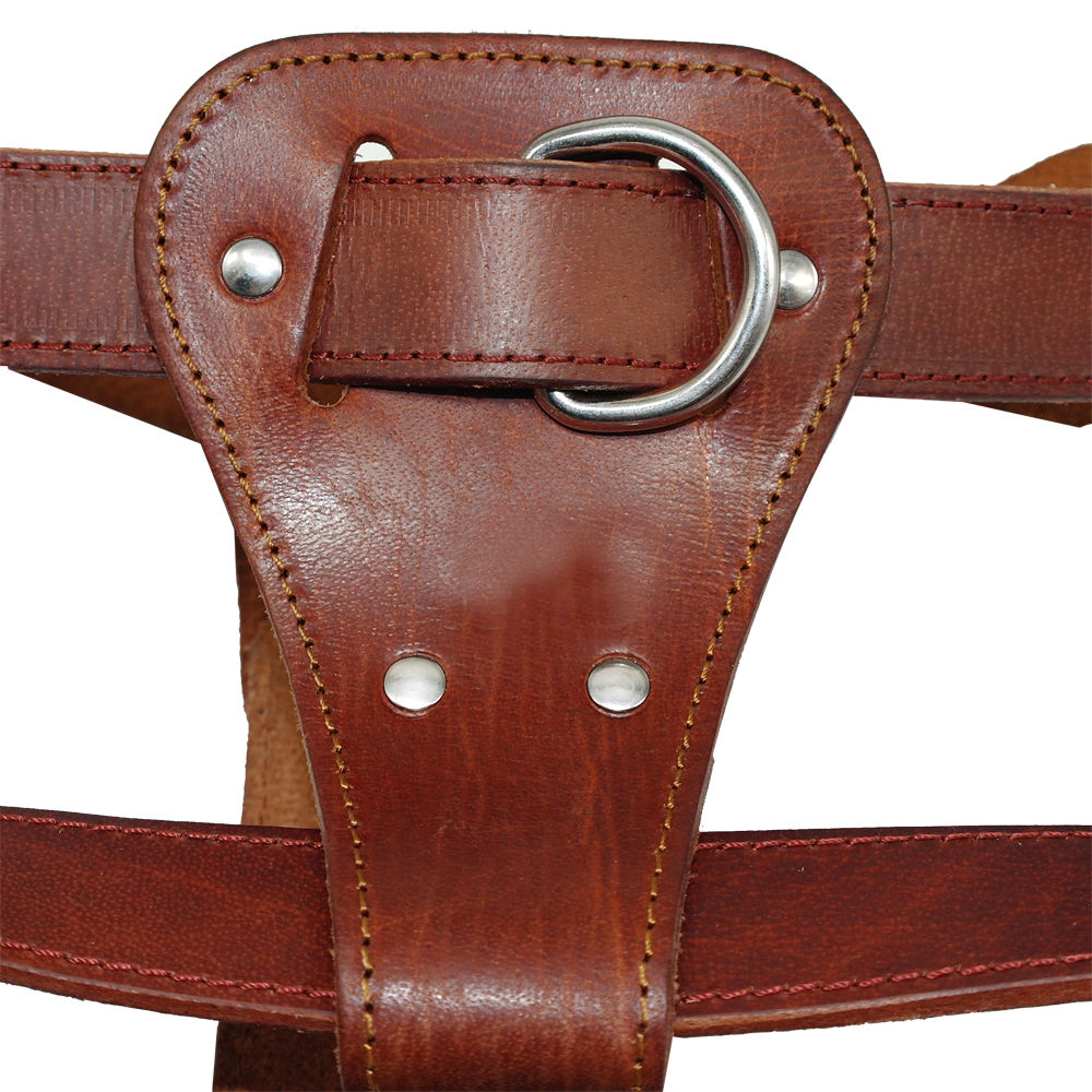 Royal Genuine Leather Dog Harness