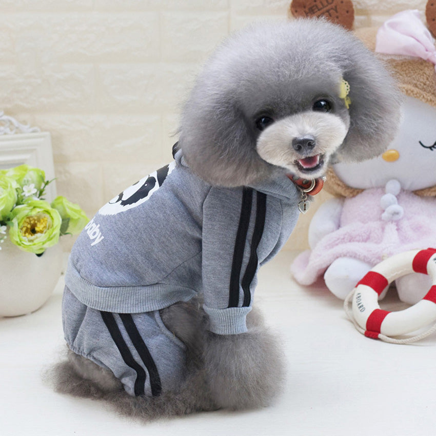 Pebble Dog Suit