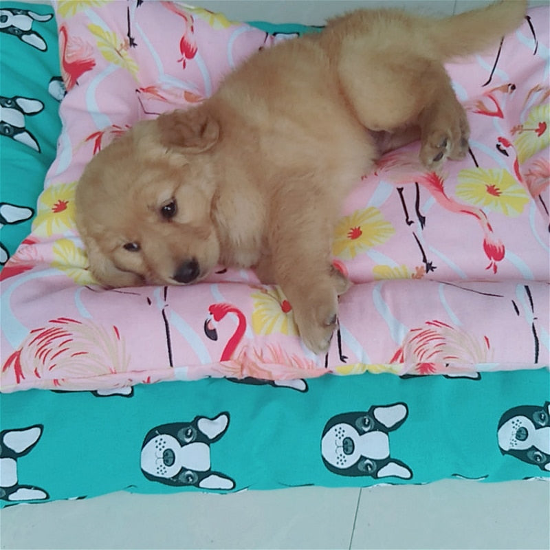Lappy Dog Mat