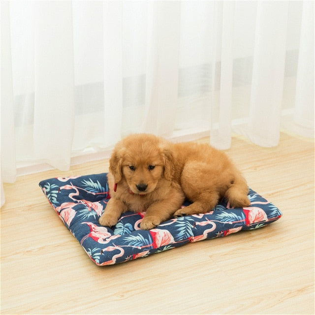 Lappy Dog Mat
