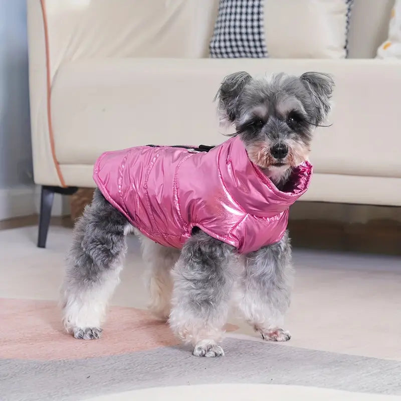 Shiny Schnauzer Jacket