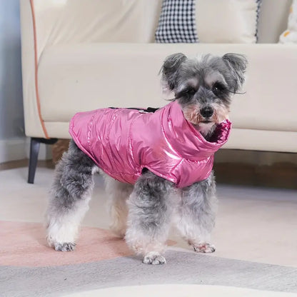 Shiny Schnauzer Jacket